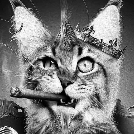 Just 4 Paws